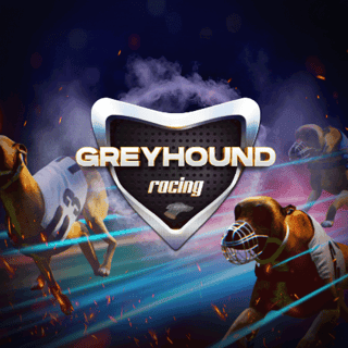 Virtual Greyhounds screenshot